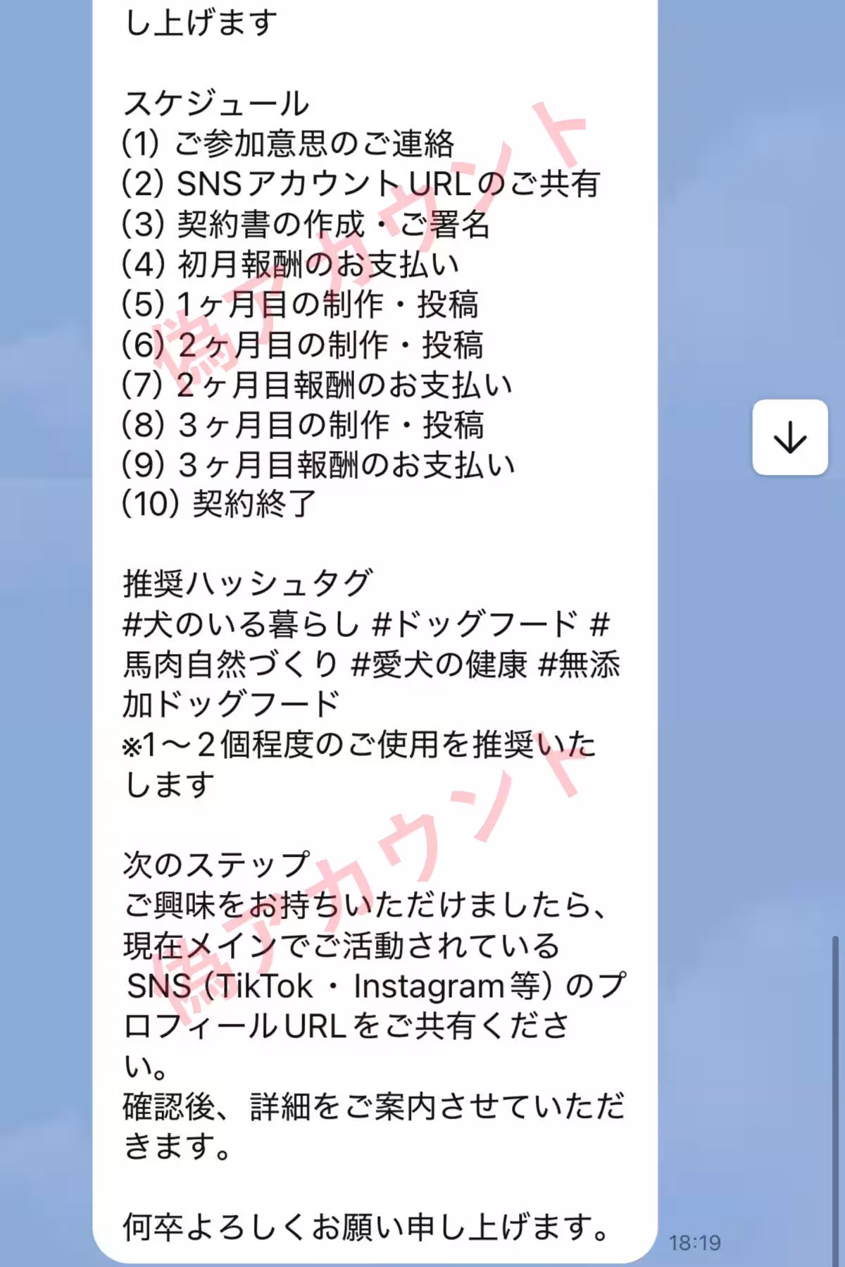 画像6