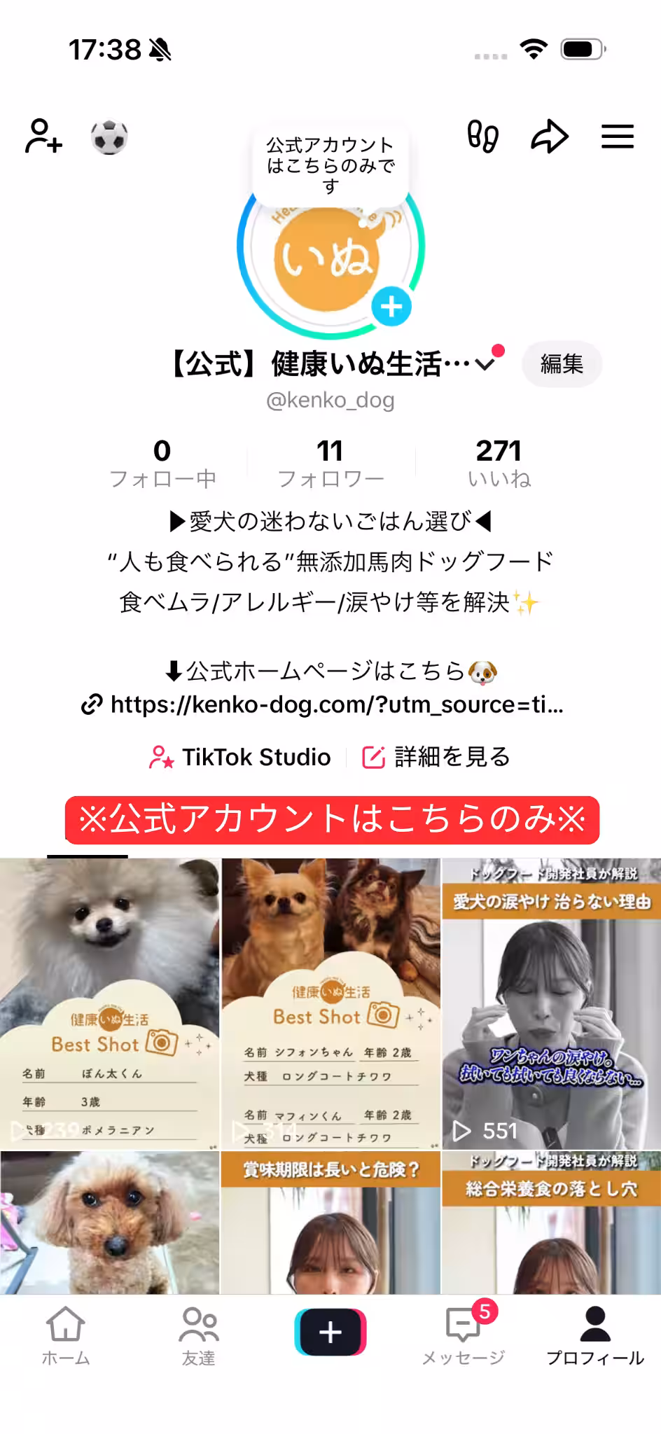 画像9