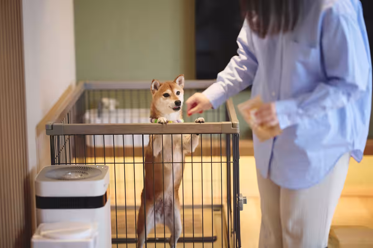画像5