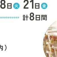 江の島こどもラボ