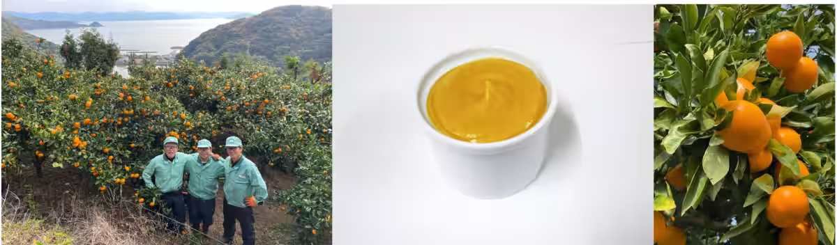 画像12