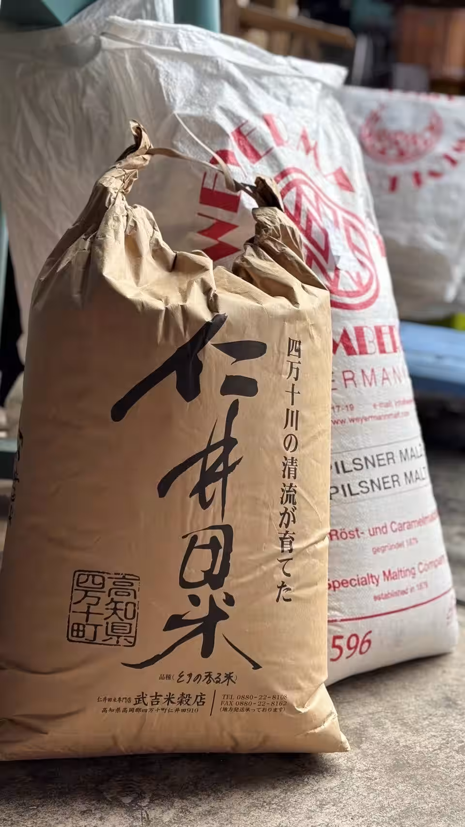 画像6