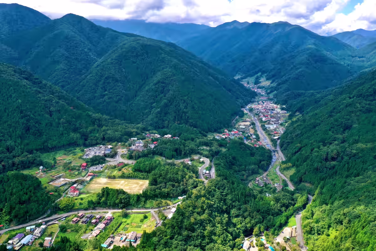 画像6