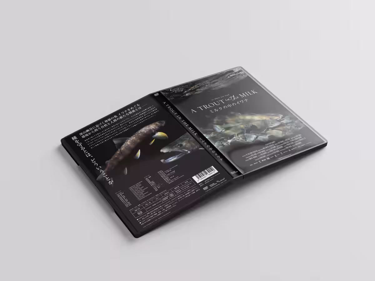 画像10