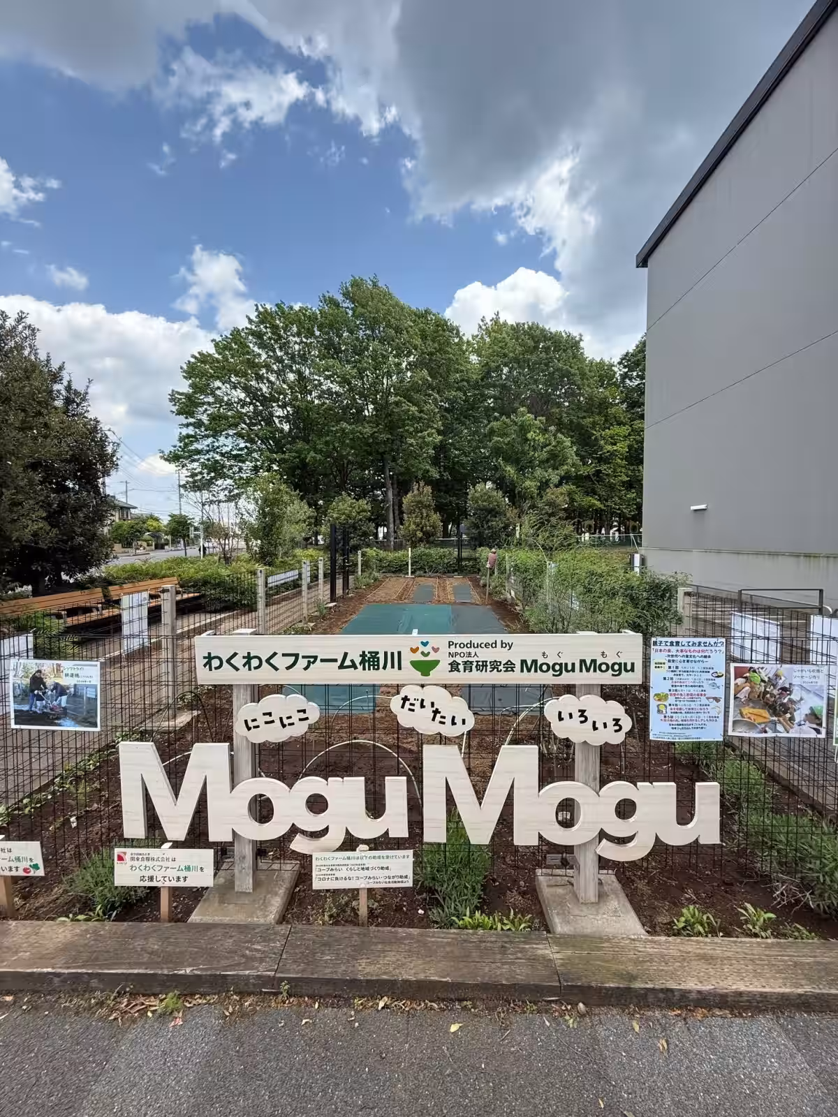 画像12
