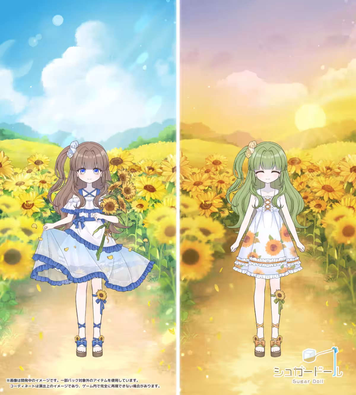 画像5