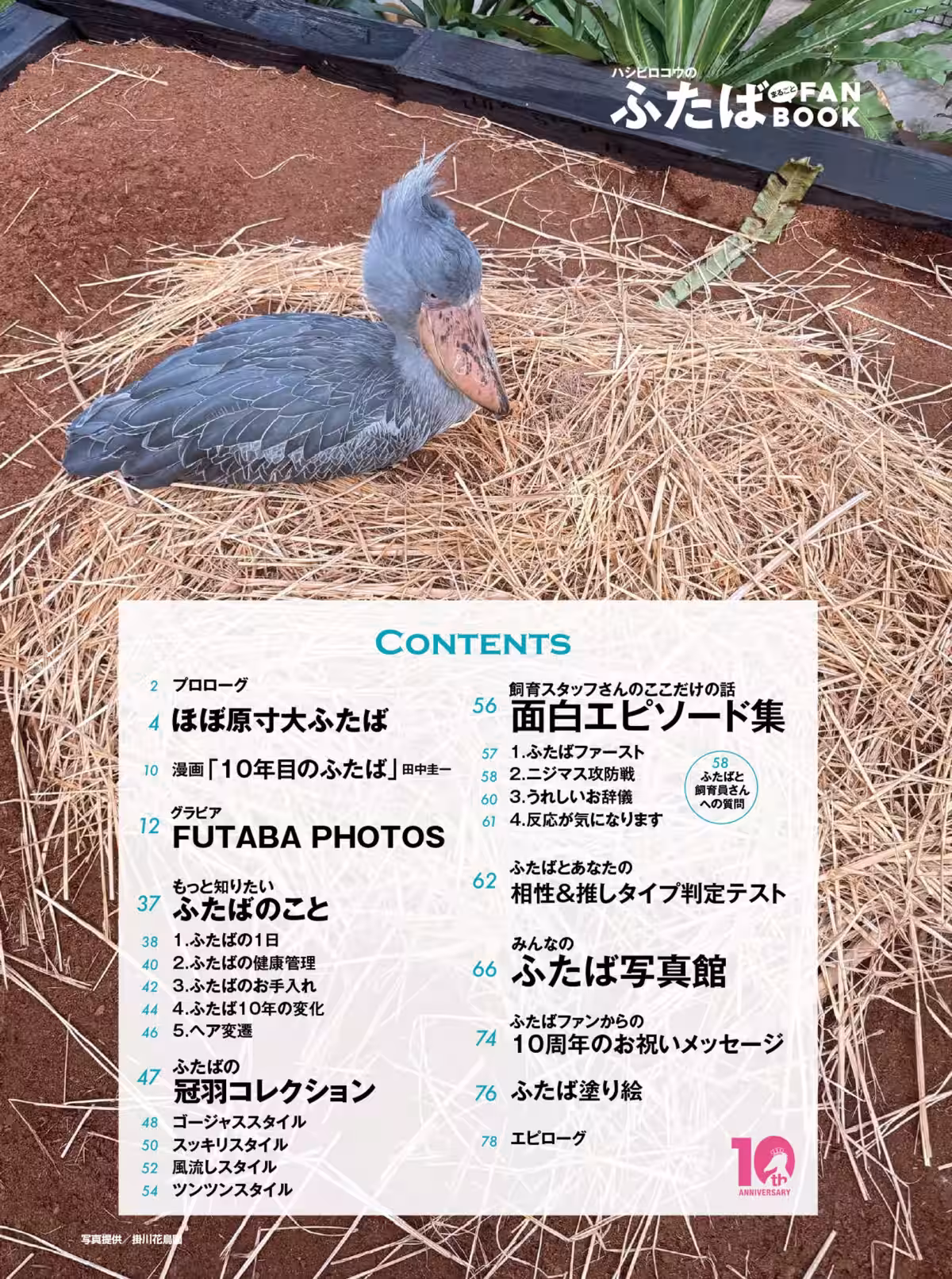 画像8