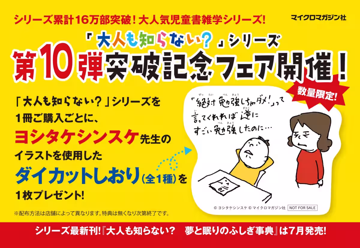 画像12
