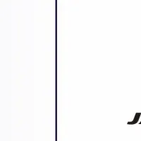 HeyMaxとJALの提携