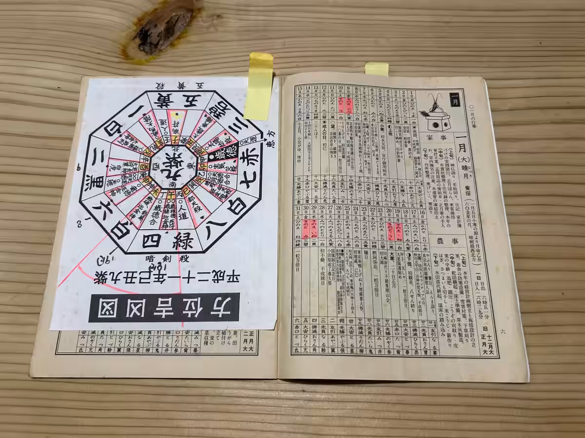 画像6