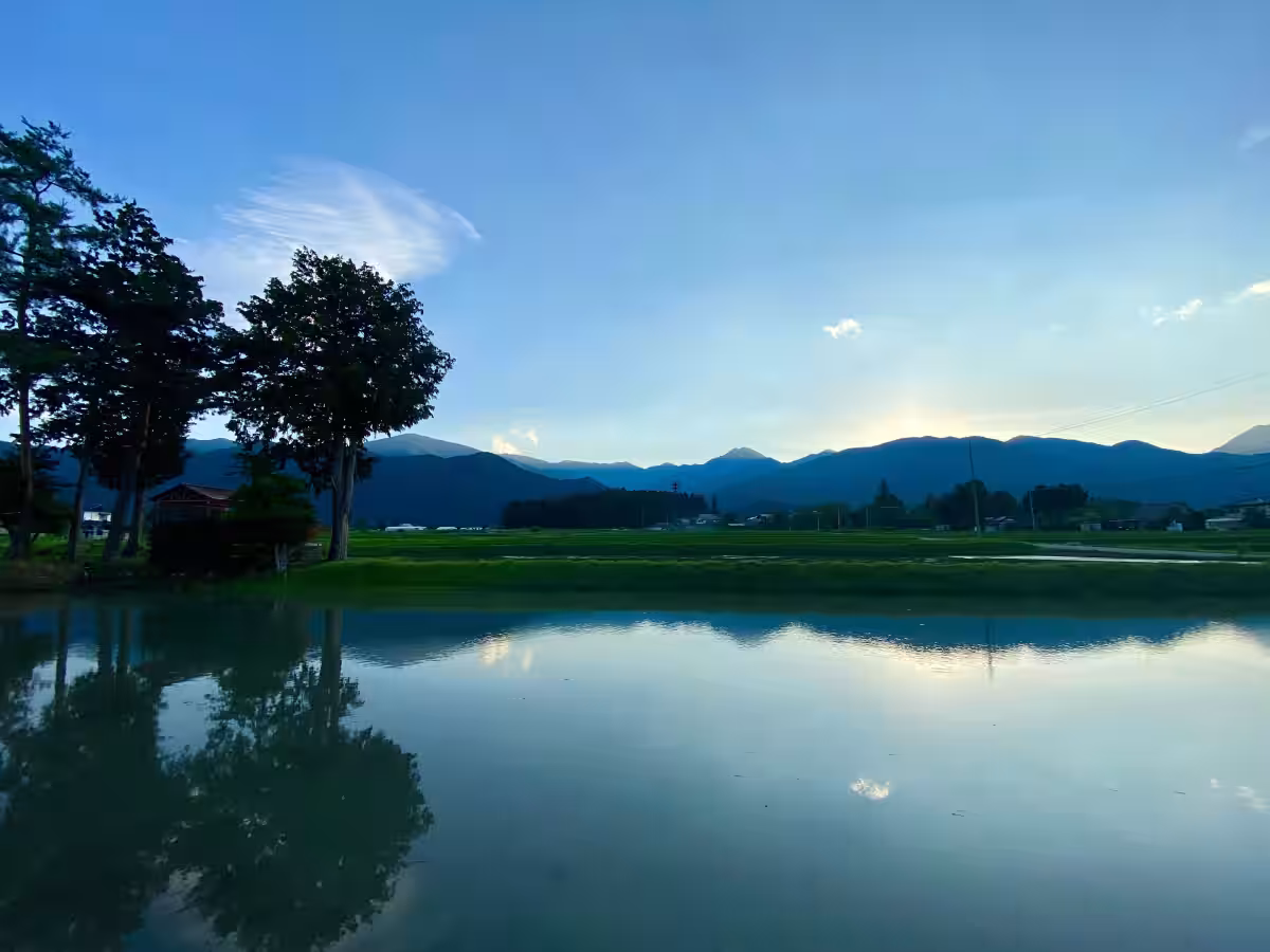 画像7