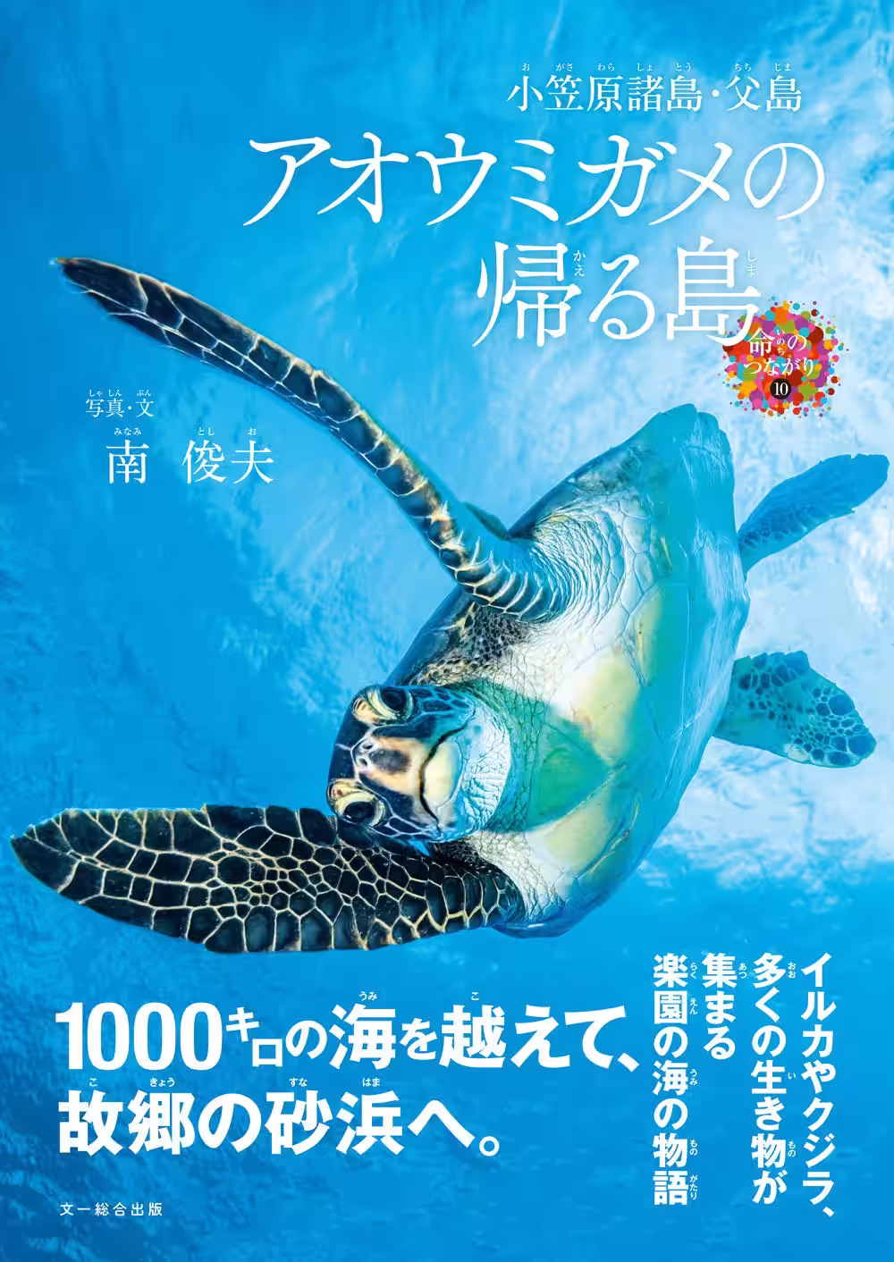 画像2