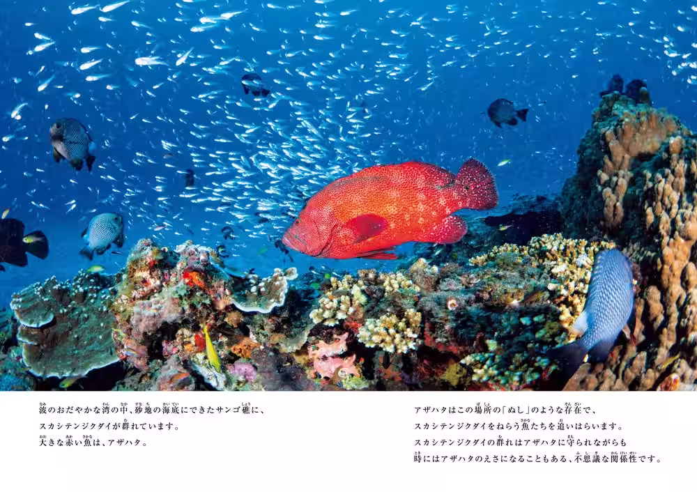 画像4