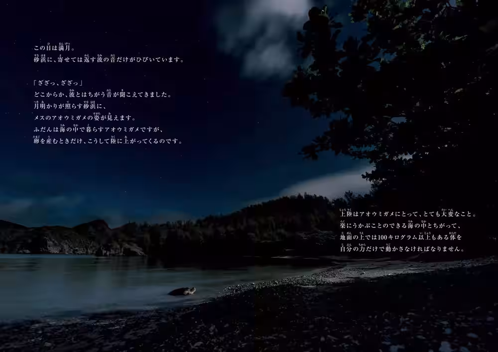 画像3