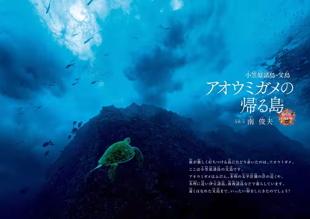 画像5