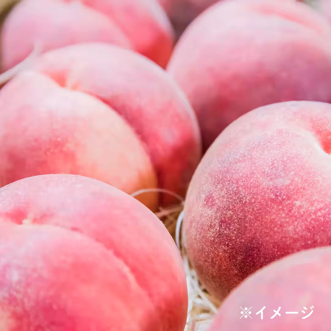 画像10