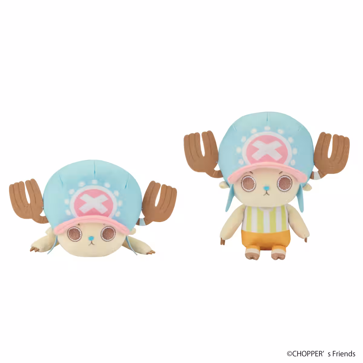 画像7