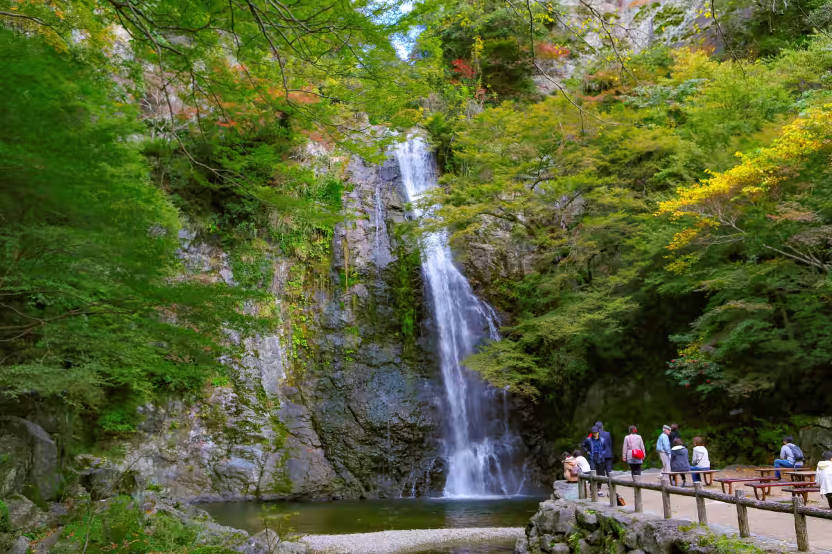 画像15