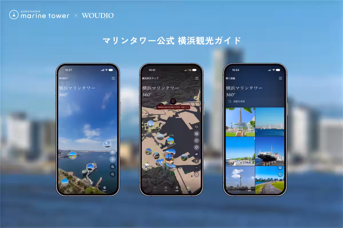 画像11