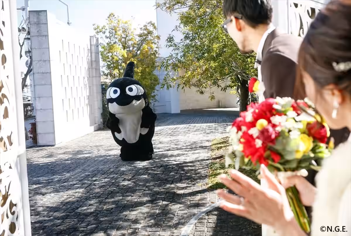 画像4