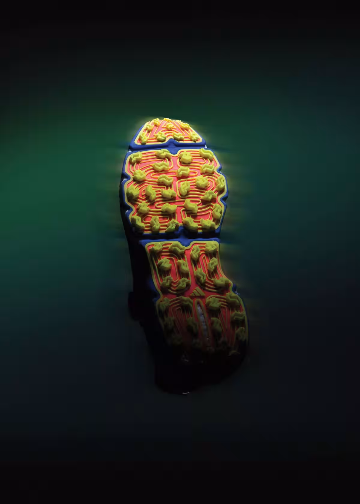 画像9