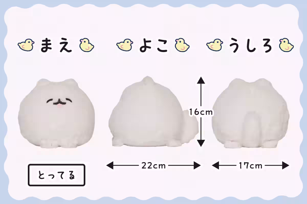 画像9