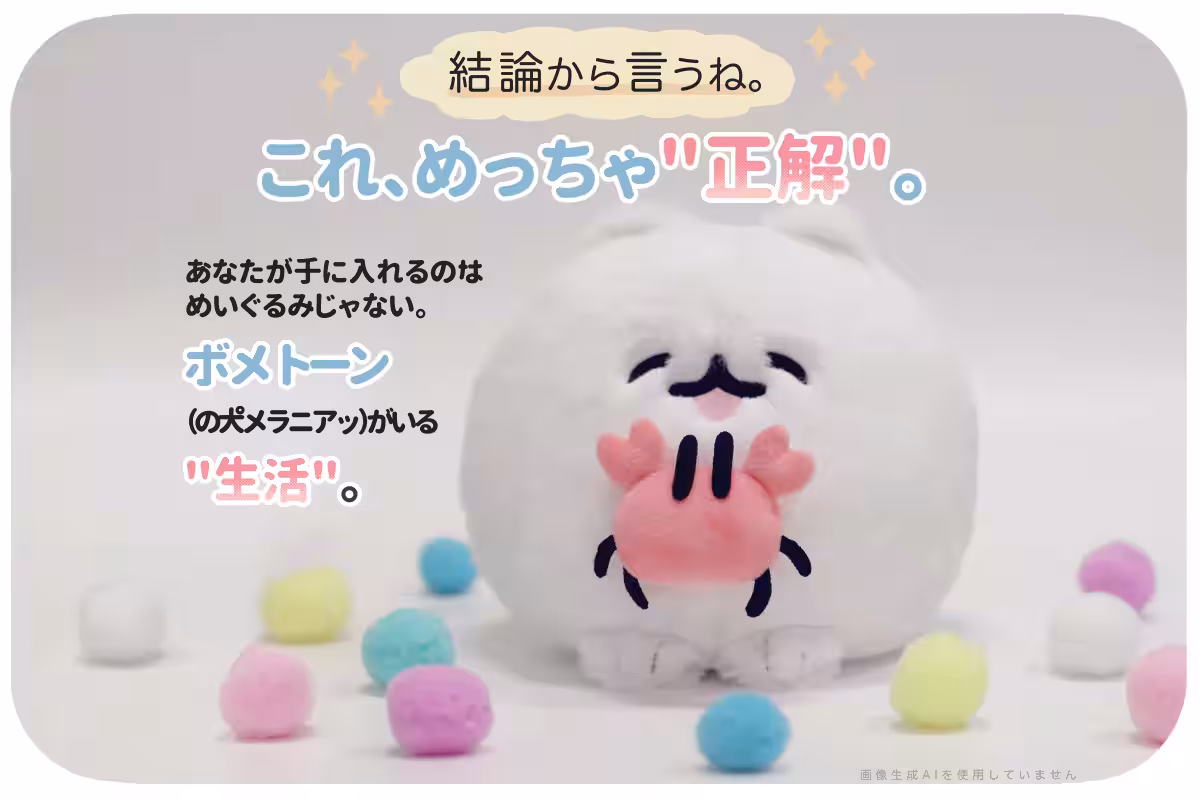 画像5