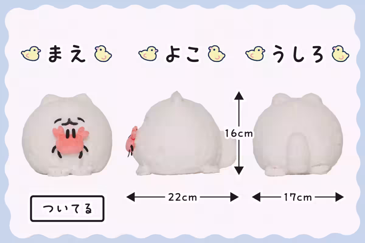 画像8