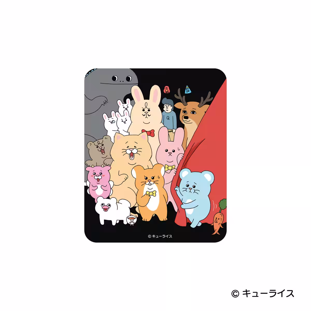画像14