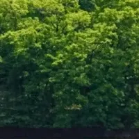 湖畔で夏の思い出
