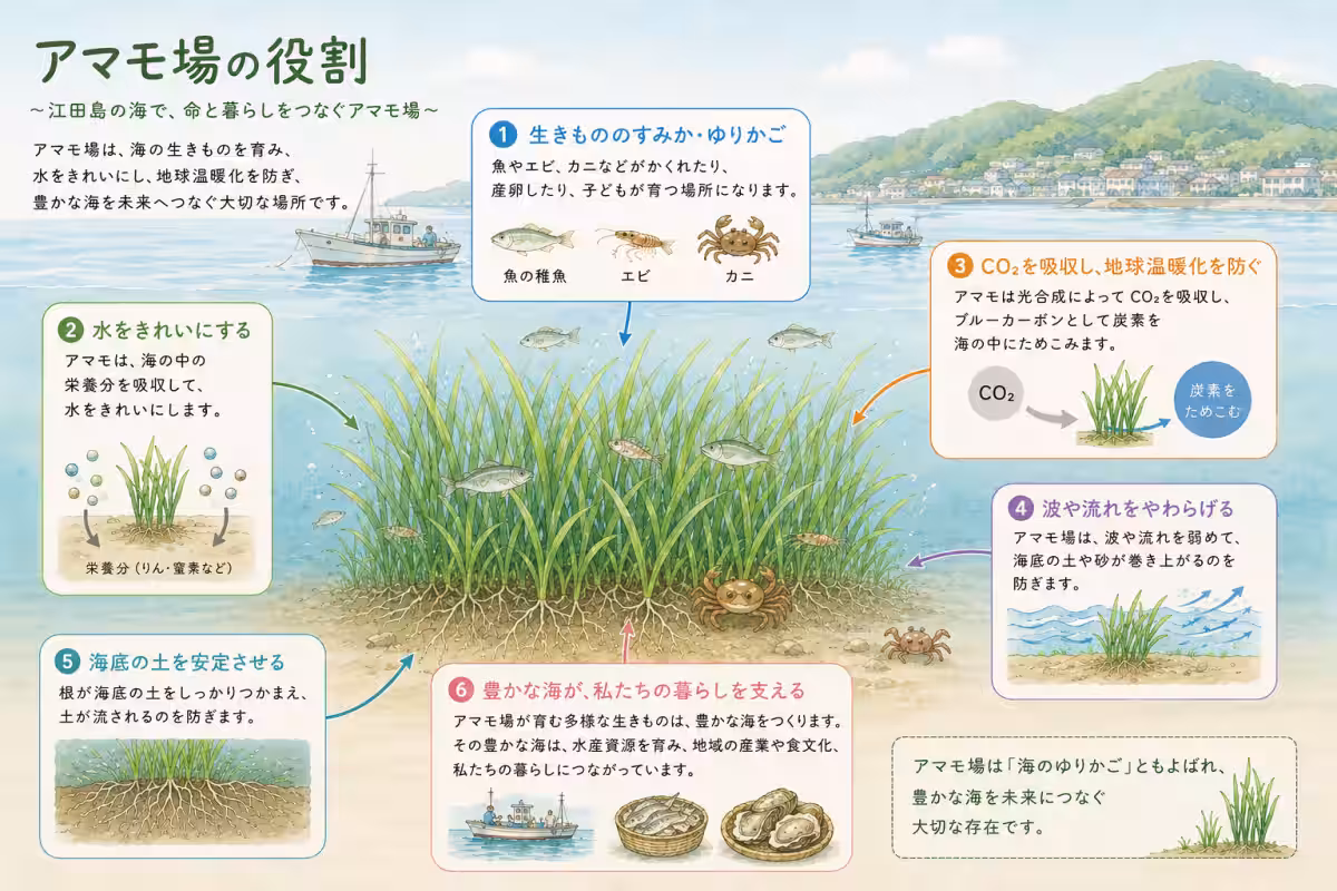 画像11