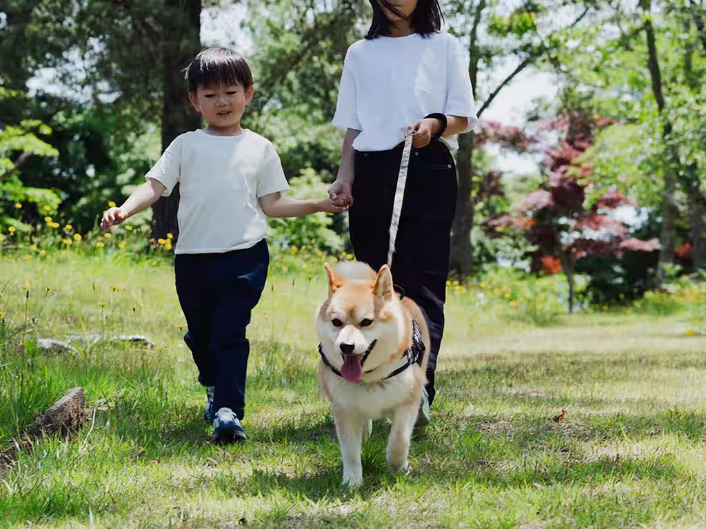 画像9