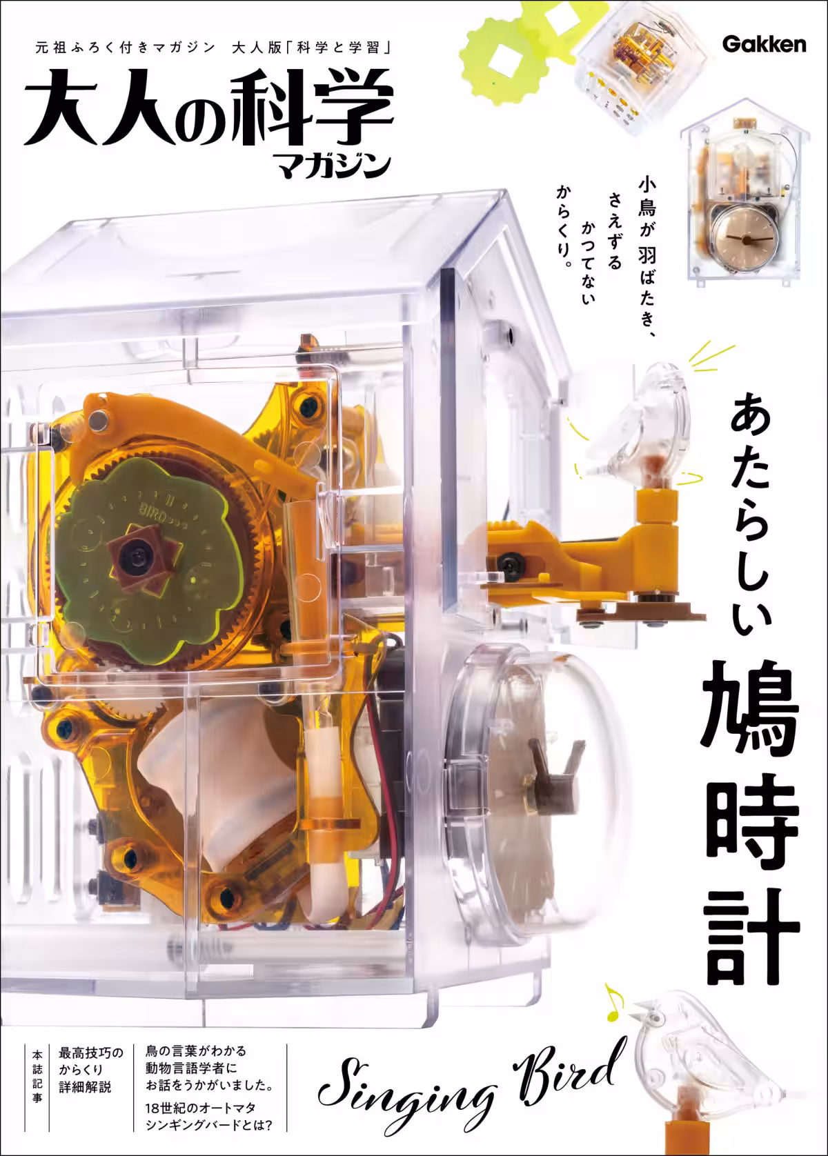 画像14
