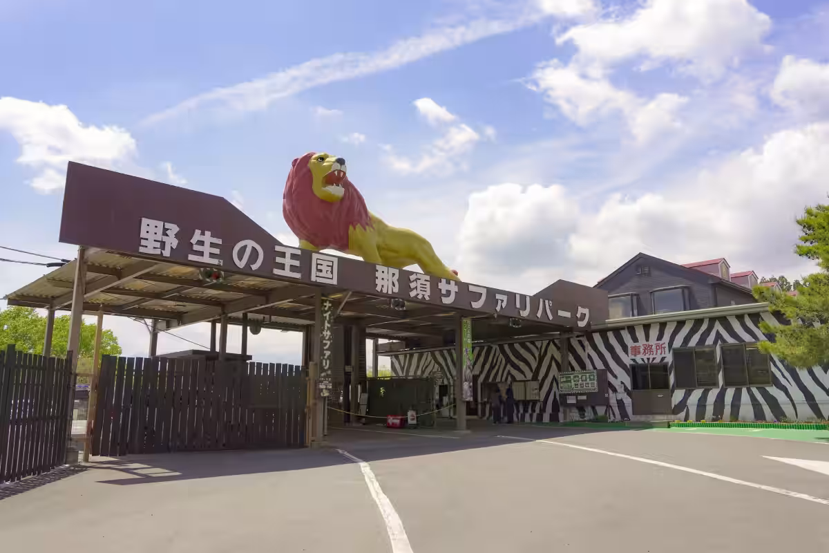 画像12
