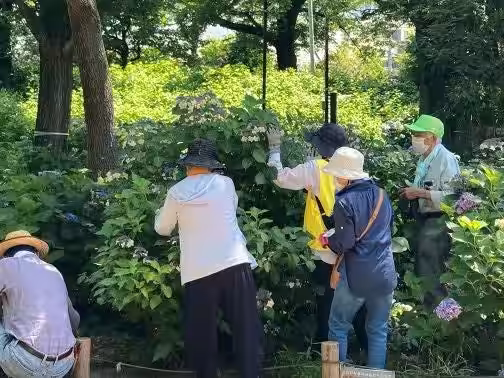 画像5