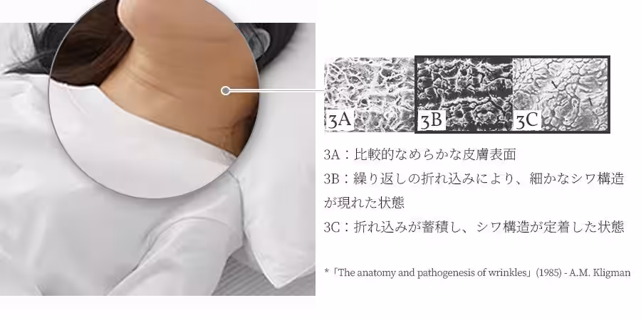 画像14
