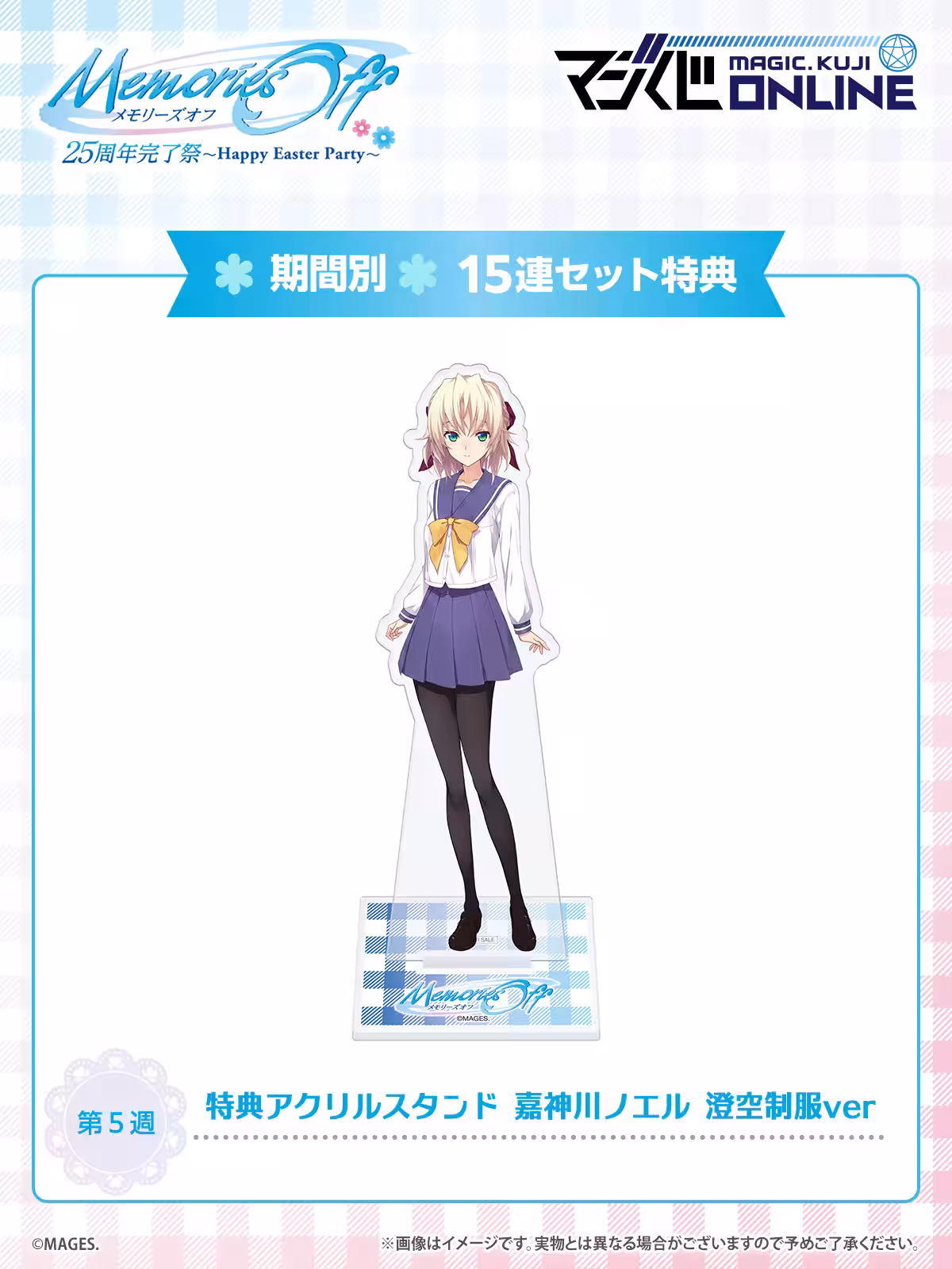 画像15