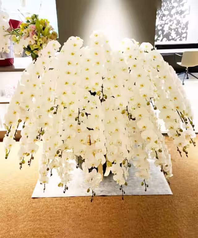 画像17