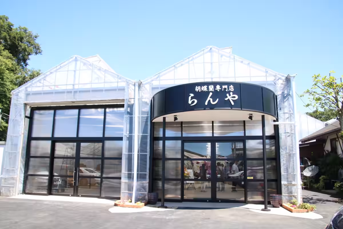 画像8