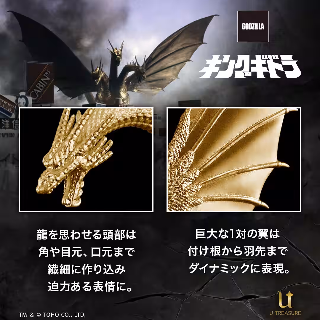 画像19
