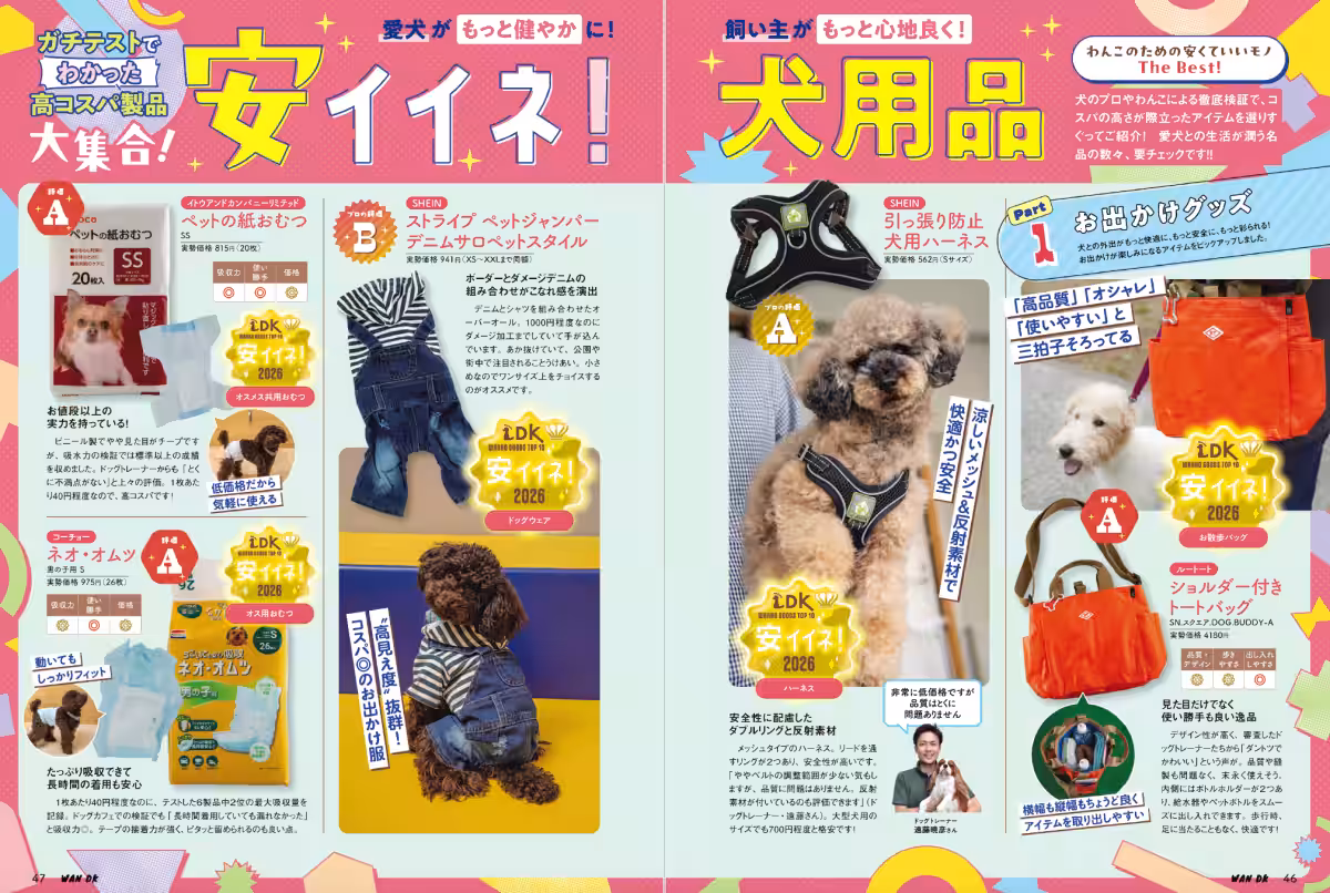 画像7