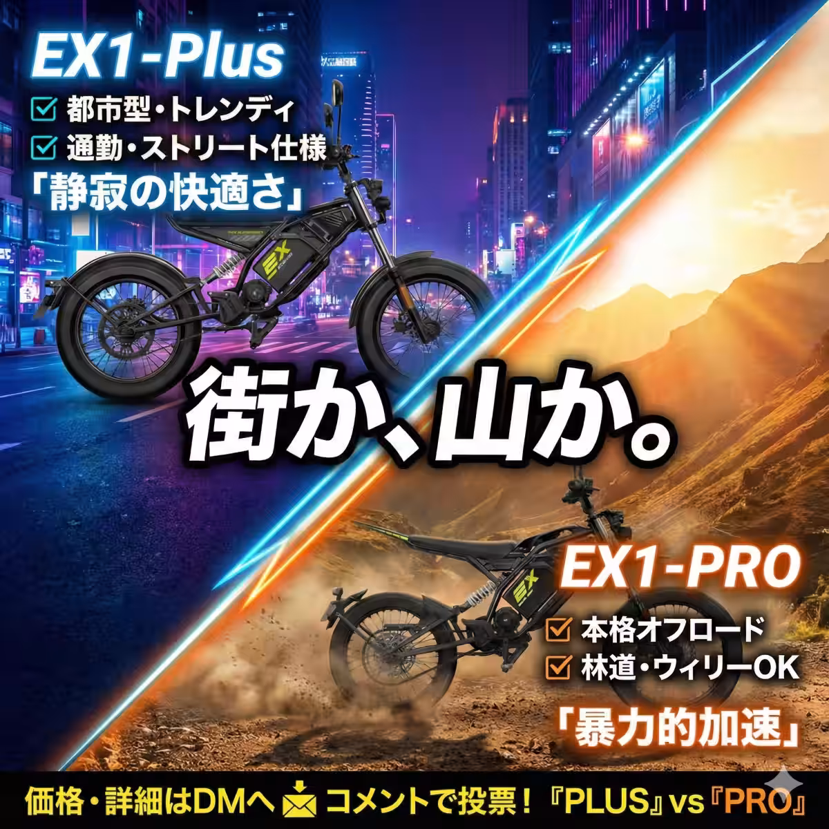 画像13