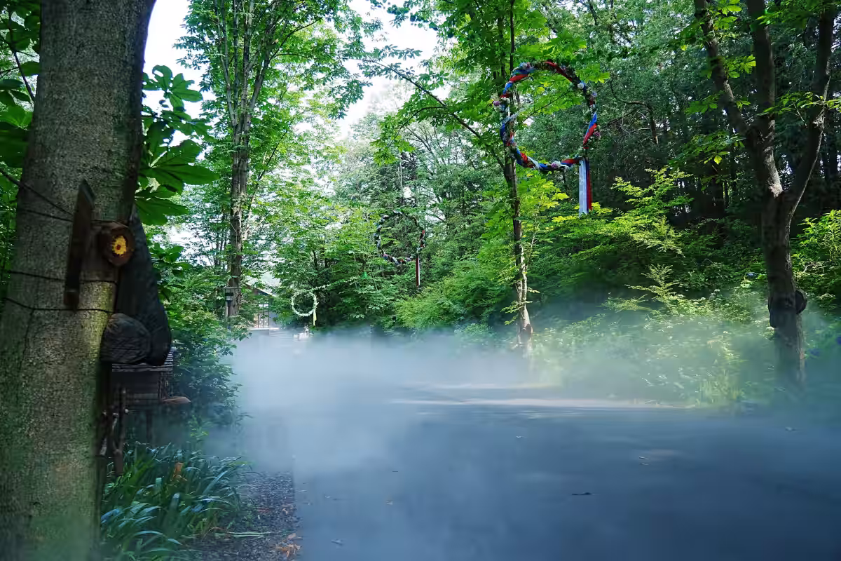 画像12