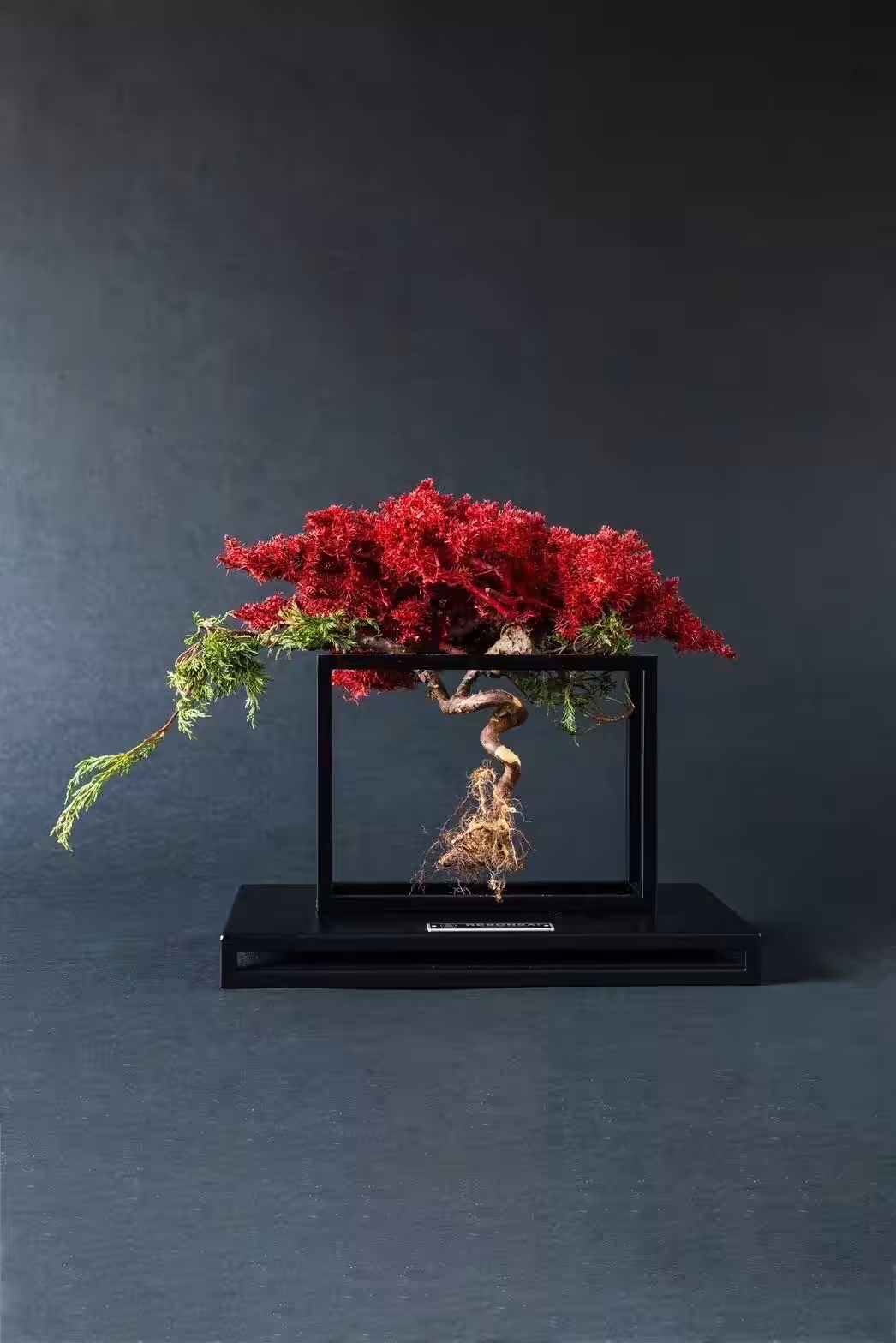 画像6