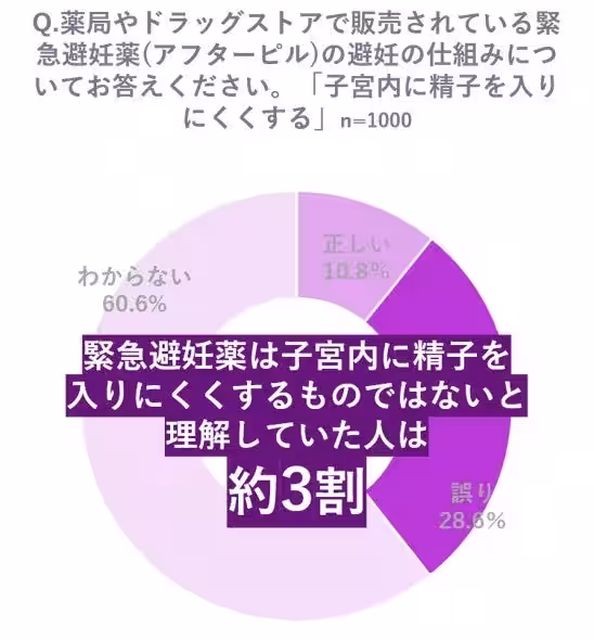 画像11