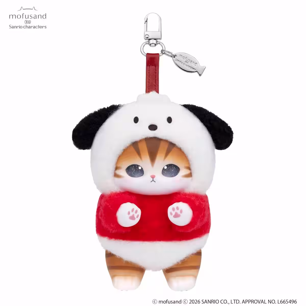 画像7