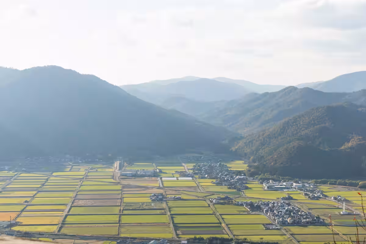 画像11