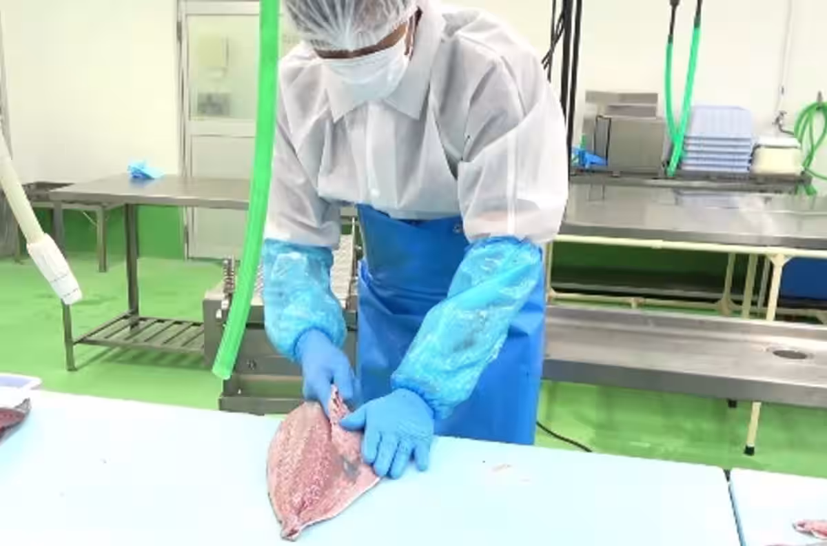画像5