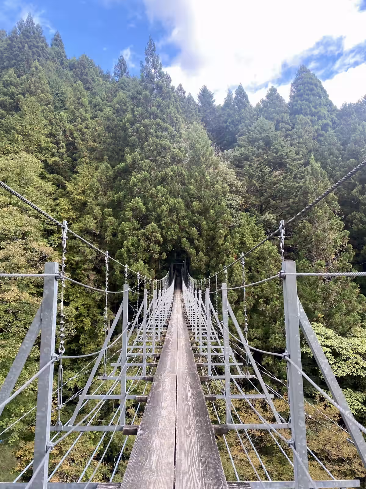 画像9