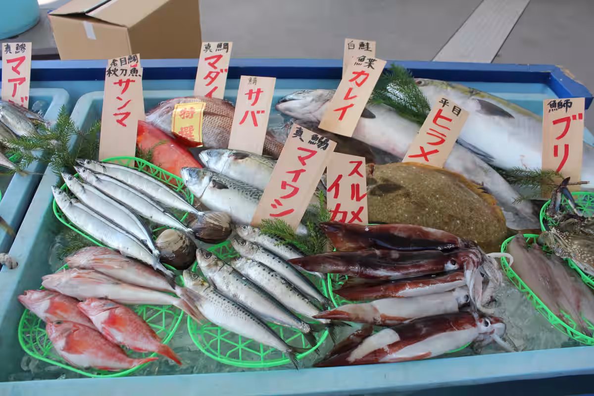 画像8